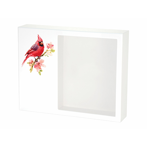 Shadowbox Cardinal